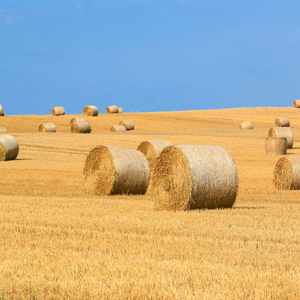 Farm Insurance